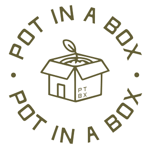 Pot in a Box